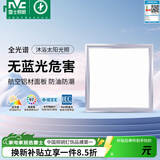 雷士（NVC）厨房灯led集成吊顶厨卫灯吸顶灯铝扣板卫生间平板面板灯 【全光谱】雾银20瓦正白光