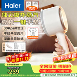 海尔（Haier）手持挂烫机30g爆炸蒸汽160ml水箱家用便携大蒸汽电熨斗小型迷你差旅干湿平挂两用熨衣神器HSS-B08W