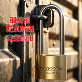梅花（BLOSSOM）铜挂锁 u型锁 防水防锈长梁门锁 车厢柜门锁55MM BC076L