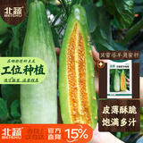 北蔬甜瓜种子苗薄皮酥脆超甜香瓜四季水果种籽 贝雷塔羊角蜜种子5g