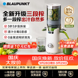 蓝宝（BLAUPUNKT）榨汁机原汁机家用渣汁分离升级三段榨果汁冰淇淋机大口径水果蔬菜榨汁纯汁率99%好清洗YJ02
