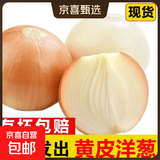 新鲜黄洋葱黄金水果洋葱即食蔬菜调料烧烤食材 新鲜黄洋葱 3斤 含箱