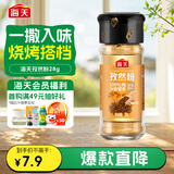 海天 孜然粉28g 纯孜然研制 新疆烧烤料烤肉烤串撒料香辛料调料