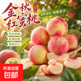 蒙阴金秋红蜜毛桃新鲜应当季整箱脆甜蜜桃毛桃子水果山东果园 带箱5斤净重4.6斤中果