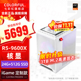 七彩虹全家桶 mini定制手提主机 AMD锐龙R5 9600x搭5060TI显卡 台式迷你电竞游戏AI设计DIY组装电脑 配二：R5 9600X丨24G丨1TB丨核显 显卡全新原装发
