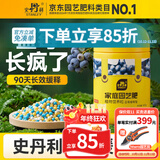史丹利蓝莓专用缓释肥450g 复合肥料氮磷钾阳台盆栽蓝莓树种植果树有机