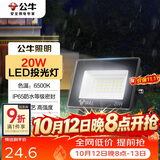 公牛（BULL）LED投光灯户外庭院工厂园林灯露营灯 IP65防水等级20W-6500K白光