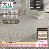 大江进口羊毛地毯客厅现代简约素色轻奢高级感沙发地毯200x300cm