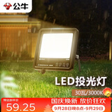 公牛（BULL）LED投光灯户外路灯庭院灯工地灯露营灯 IP65防水30W-3000K黄光