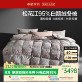 水星家纺羽绒被鹅绒被95%白鹅绒被子冬被冬季加厚被芯双人200×230约5.1斤