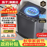 扬子【政府补贴15%】洗衣机全自动一级能效 家用大容量洗烘一体波轮 以旧换新出租房宿舍神器 10KG租房神器【一级能效+蓝光抑菌风干】 波轮