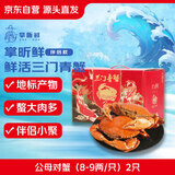 【活蟹】掌昕鲜三门青蟹 公母对蟹（8-9两/只）2只 海鲜活螃蟹送礼盒非帝王蟹 源头直发