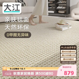 大江进口羊毛地毯客厅现代简约素色轻奢高级感沙发地毯140x200cm