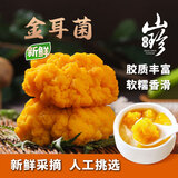 京鲜生云南新鲜金耳净重1斤鲜菌菇刺身煲汤火锅食材源头直发
