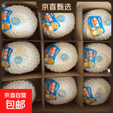 泰国进口香水椰天然椰子椰青大果年货送礼 单果900g+ 泰国进口椰青6粒装送开椰器吸管