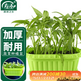 寿禾 种菜盆阳台家庭蔬菜种植方形盆 长形蔬菜种植盆(绿色)组合装2个