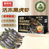 鲜京采 特大号福建活冻黑虎虾 净重3斤 30-45只/盒中秋