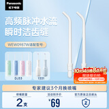 松下（Panasonic）高频脉冲水流喷嘴冲洗残渣 适用于小圆管1331/DJ33  2支装WEW0987W405