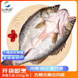 仙泉湖三去白蕉海鲈鱼1斤/条净膛刺少肉厚珠海特产500g海鲜水产生鲜食材