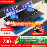 樱花（SAKURA）燃气灶天然气灶煤气灶双灶液化气灶具猛火炉灶台式嵌入式两用5.2KW大火力 【升级5.2KW天然气】JZT-B9209