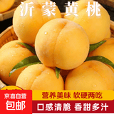 京喜加山东沂蒙山蒙阴黄桃蜜桃时令桃子脆甜多汁当季采摘锦绣黄桃水果 脆甜多汁【大果】 【好吃油桃】3-6粒精品果