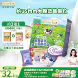 爷爷的农场整颗蓝莓益生菌酸奶脆宝宝零食酸奶 添加益生菌25g