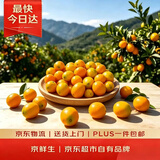 京鲜生云南油皮金桔【儿时味道】 净重2斤 单果15g起 生鲜水果