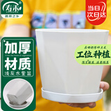 寿禾 花盆带托盘塑料树脂家庭阳台绿植盆栽 木里盆中号-浅灰2个装