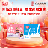燕塘 原味酸奶饮品 200ml*16盒+芭乐不老莓酸奶饮品 200ml*16盒
