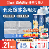 立邦美缝剂甄美缝十大品牌地砖瓷砖填缝剂美缝胶耐水防霉 闪亮银