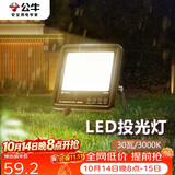 公牛（BULL）LED投光灯户外路灯庭院灯工地灯露营灯 IP65防水30W-3000K黄光