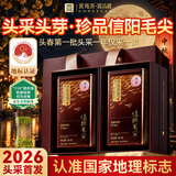 贡苑2026新茶头采芽珍品信阳毛尖200g 高端明前嫩芽绿茶茶叶中秋礼品