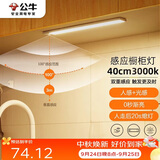 公牛（BULL）感应橱柜灯衣柜灯LED人感光感磁吸 卧室床沿玄关小夜灯40CM3000K
