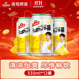 汉斯小木屋青岛啤酒菠萝啤果啤整箱听装 330mL 12罐