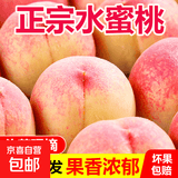 京喜加新鲜现摘当季水蜜桃脆甜桃子生鲜水果桃子整箱批发包邮 【清甜多汁】水蜜桃 中果 【闭眼拍】带箱5斤（净重4.5斤+）