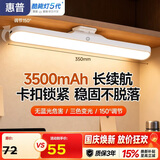 惠普护眼台灯学习专用酷毙灯宿舍书桌床头灯3500毫安充电灯10W天使光