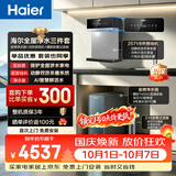海尔（Haier）净水器前置管线机套装【889鲜活水8年进口膜+15T/h自动冲洗前置Z45+麦浪冷热管线机HGDZ2571】