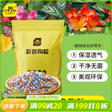 史丹利彩色陶粒垫底养花专用水培花盆种花颗粒铺面园艺土陶土粒球3斤
