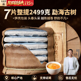新益号普洱茶生茶饼云南勐海布朗山大树茶春茶七子饼古树生普茶叶自己喝 爆款【早春古树普洱】7片饼整提2499g