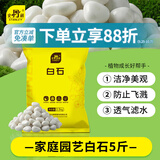 史丹利白石子水培石子天然铺面石白色鹅卵石原石庭院石头造景花盆 5斤