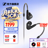 森海塞尔（Sennheiser）IE900/IE600/IE300旗舰级HIFI高保真超宽单动圈单元可拆卸MMCX挂耳式耳机 高保真发烧有线耳机耳塞 IE300 【进阶HIFI高保真】