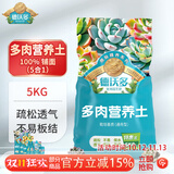 德沃多大包多肉营养土5KG多肉专用颗粒土盆栽花土壤（100%颗粒）