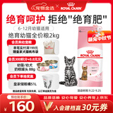 皇家猫粮 绝育幼猫粮 KS34 通用粮 6-12月 2KG