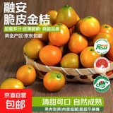 广西融安金桔当季新鲜水果柑橘脆蜜滑皮金柑年货送礼物产地直发 【6号果】净重1.8斤（解馋）