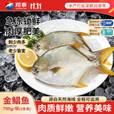 翔泰海南深海金鲳鱼700g  2条火锅生鲜鱼类BAP认证 海鲜水产