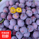 正宗四川小脆红李子 酸甜可口 应季水果 生鲜现发 新鲜上市包邮 带箱2斤15g+