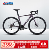喜德盛公路自行车AD300油碟UCI车架2x10速中空一体牙盘桶轴破风车 霞光紫 480mm（适合身高165-175cm）