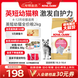 皇家猫粮 英短幼猫粮 BSK38 通用粮 4-12月 2KG