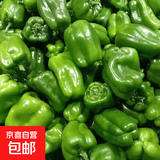 现摘新鲜绿菜椒圆椒青椒‘灯笼椒 4斤