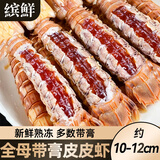 缤鲜全母皮皮虾鲜活超特大熟冻带膏濑尿虾带籽琵琶虾爬子海鲜水产椒盐 2000g(净重)  约10cm 【鲜活现煮 条条满膏】送海盐